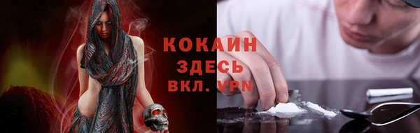 бошки Алзамай