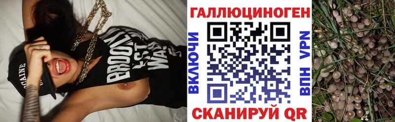наркотики  Азнакаево  Псилоцибиновые грибы прущие грибы 